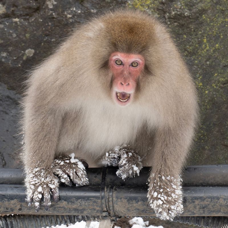 Автопортретphoto preview