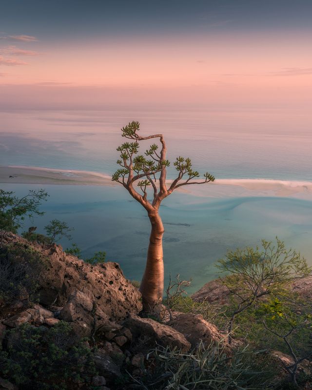 Sokotra фото превью