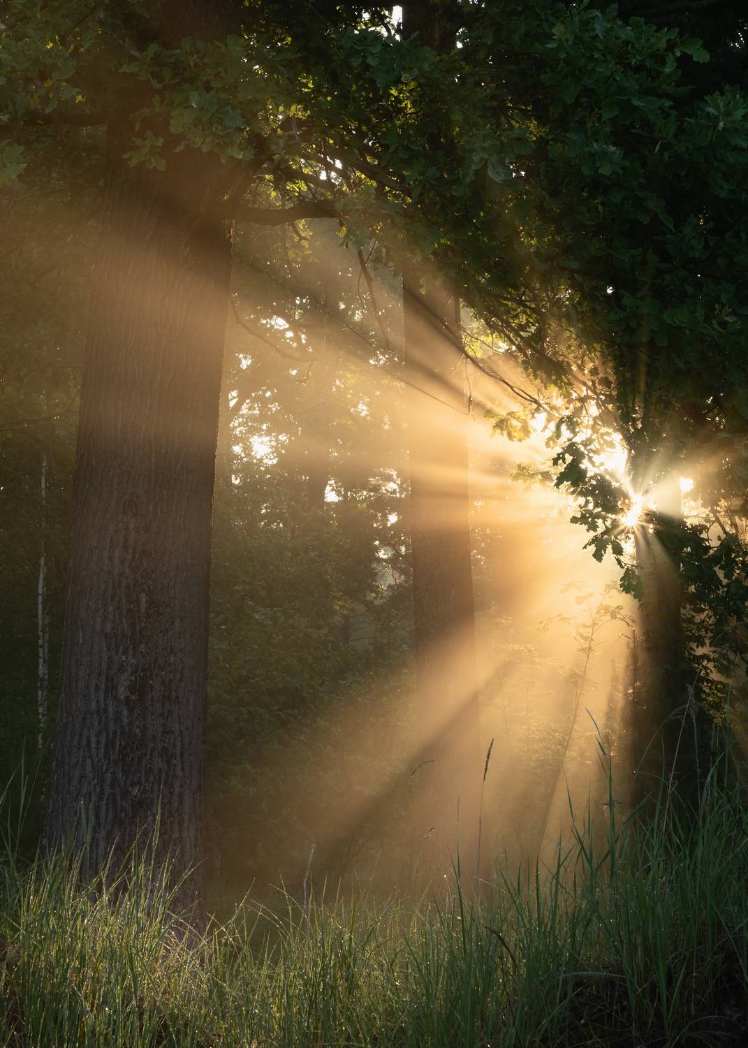 , Захаров Дмитрий