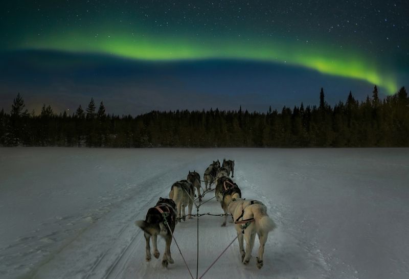 Laplandphoto preview