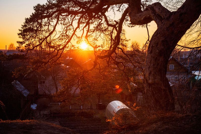 сквозь крючьяphoto preview