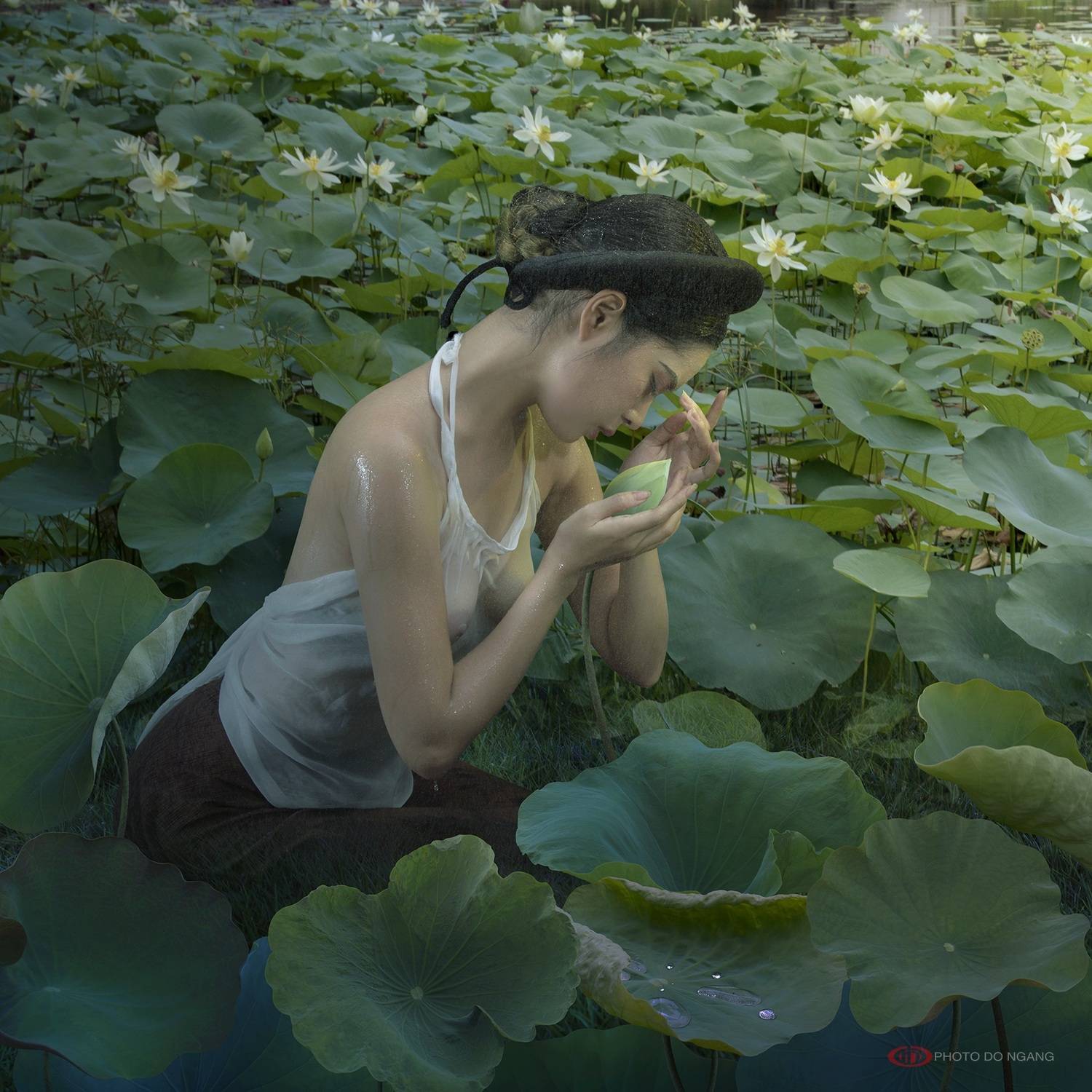 , L&ecirc; Hồng Tuấn