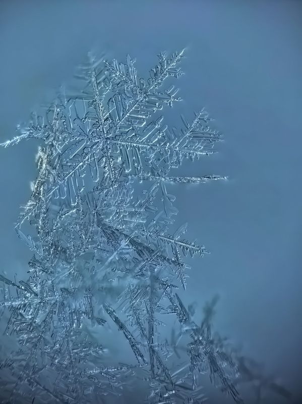 Последние снежинкиphoto preview