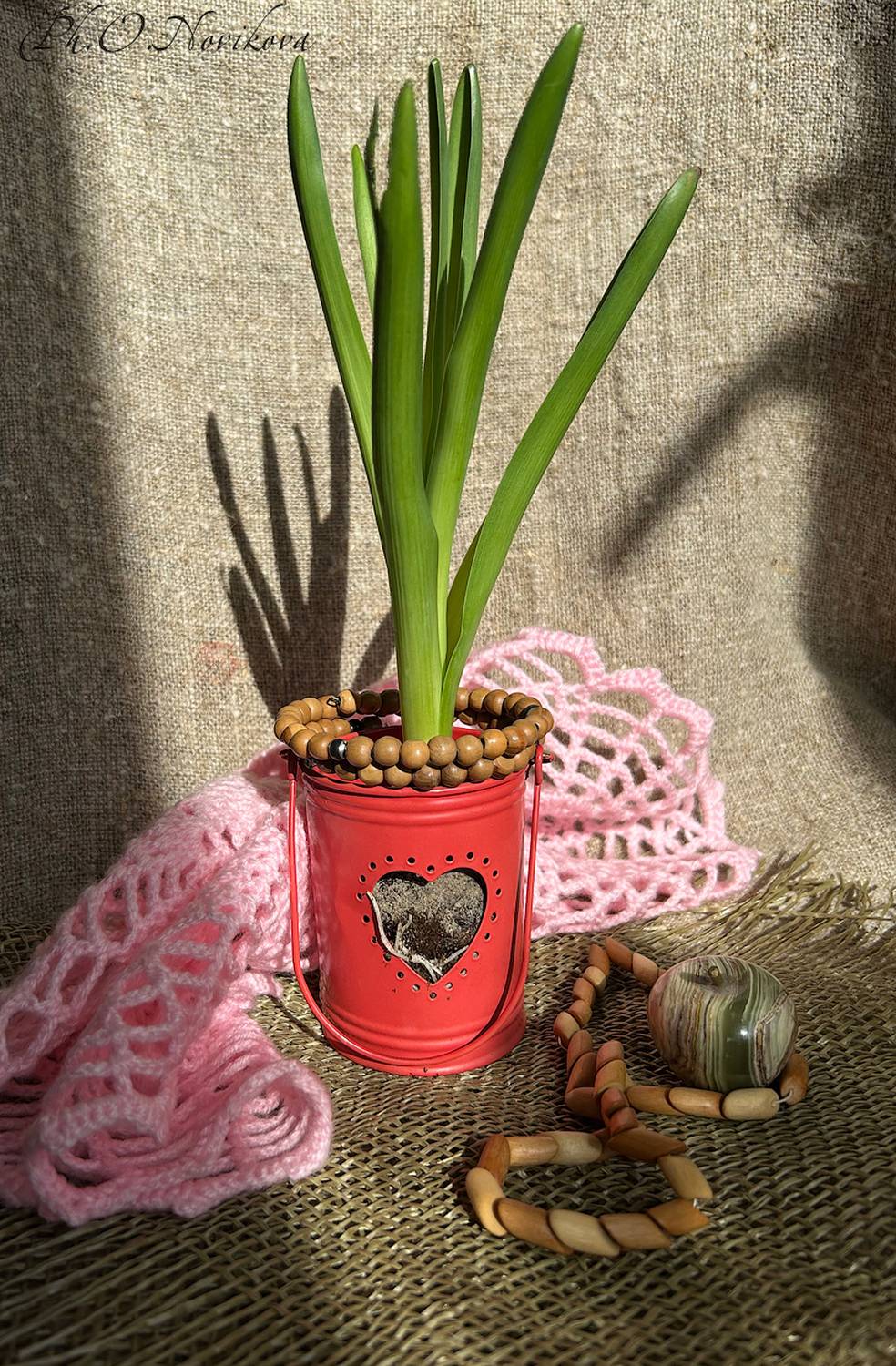 , Новикова Ольга