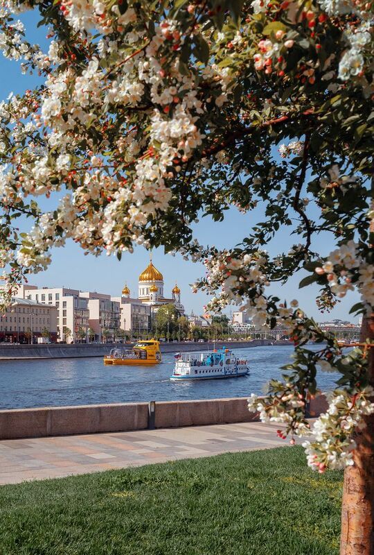 москва, весна, яблони, храм христа спасителя, архитектура, городской пейзаж, moscow, spring Весна в Музеонеphoto preview