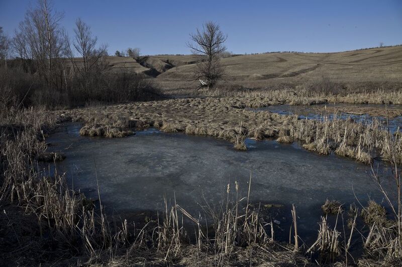 весна март Веснаphoto preview