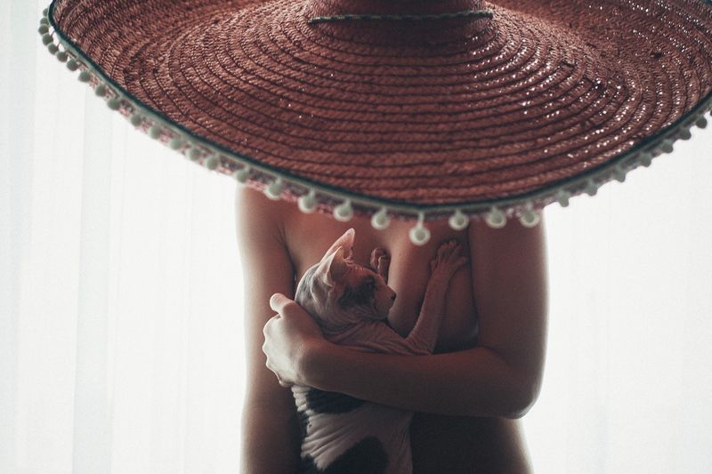 Домашние этюды фото превью