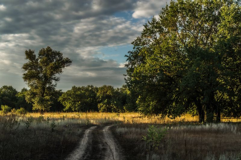 дорога,небо,облака По дорогеphoto preview