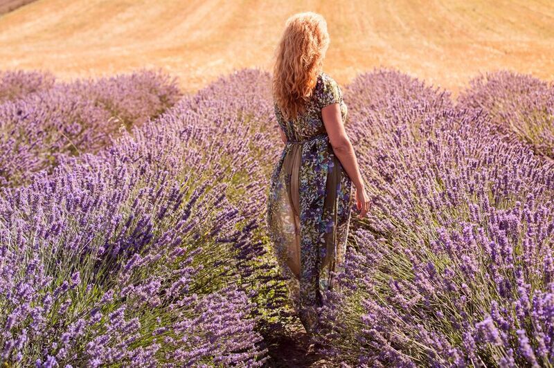 лавандаphoto preview