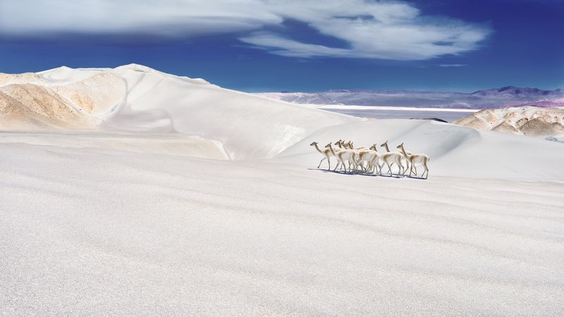 На краю Ойкуменыphoto preview