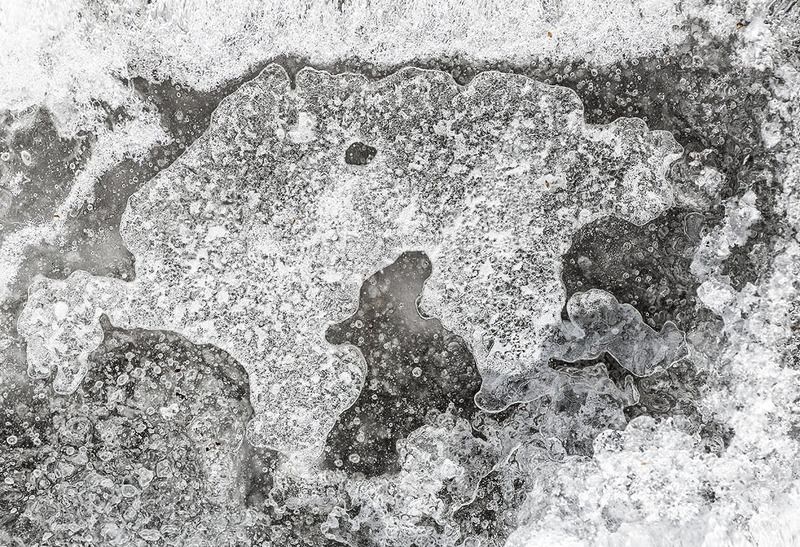 Медведь вышел из берлоги!photo preview