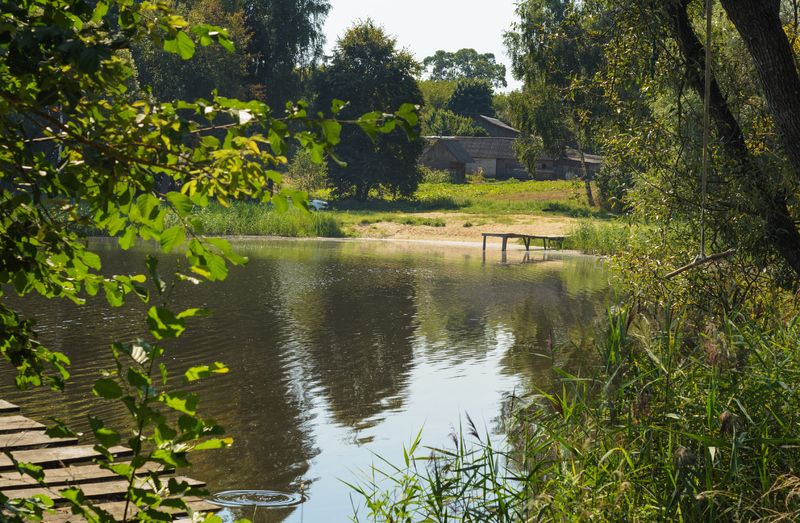 У пруда.photo preview