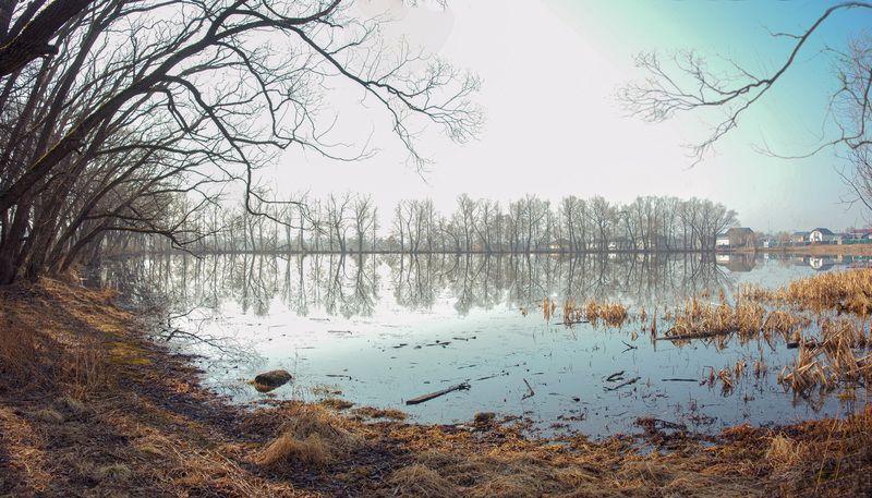 Веснаphoto preview