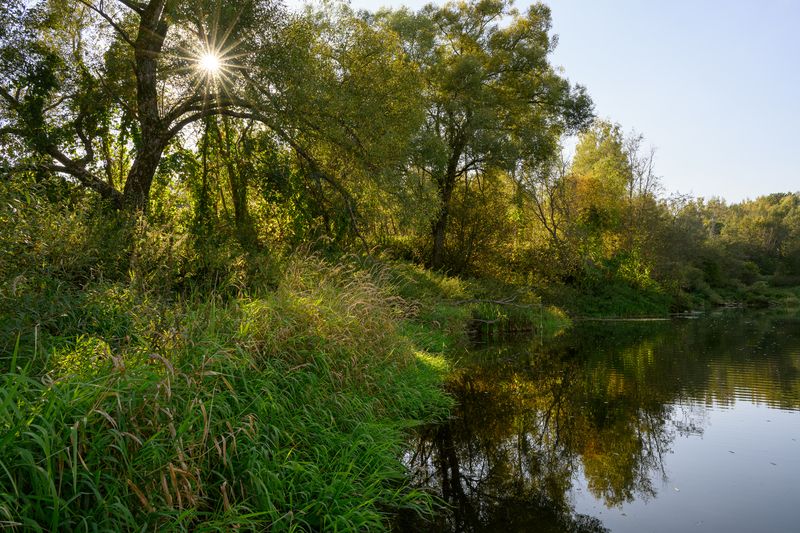 tree, nature, forest, lake, river, summer, sundet, sun, light, water, landscape, shadows, sunstars ***photo preview