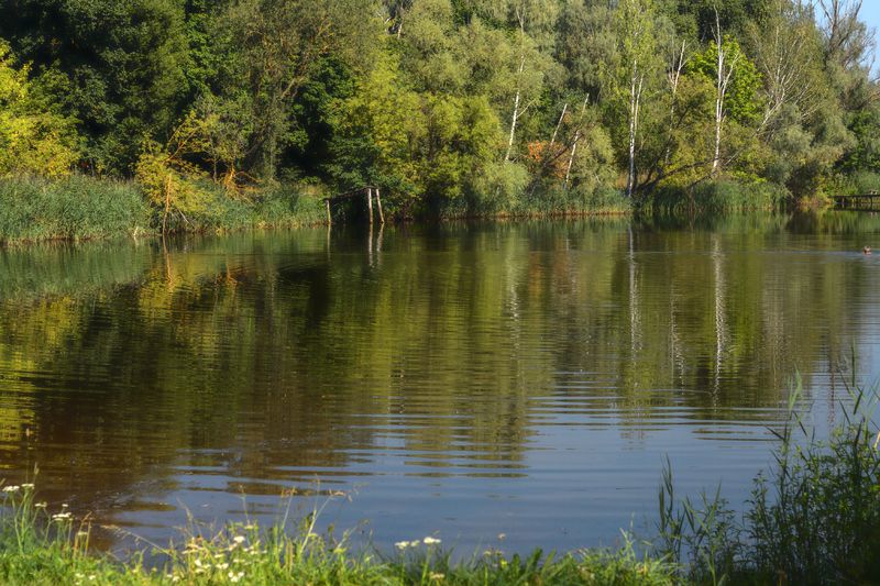 Дыхание осени.photo preview