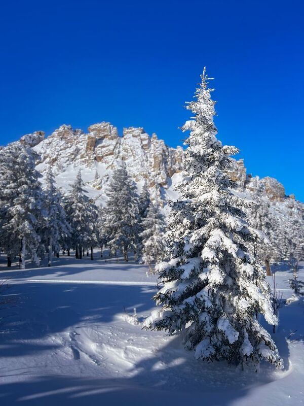 пейзаж, урал, зима, таганай Заснеженная ель с видом на Откликной гребень (нац. парк Таганай)photo preview