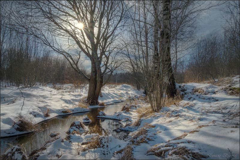 Мартовский ручей.photo preview