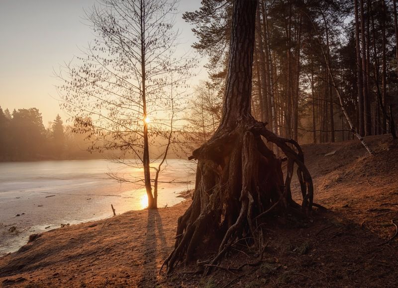 утро, рассвет, озеро, солнце Рождение субботнего дня (1)photo preview