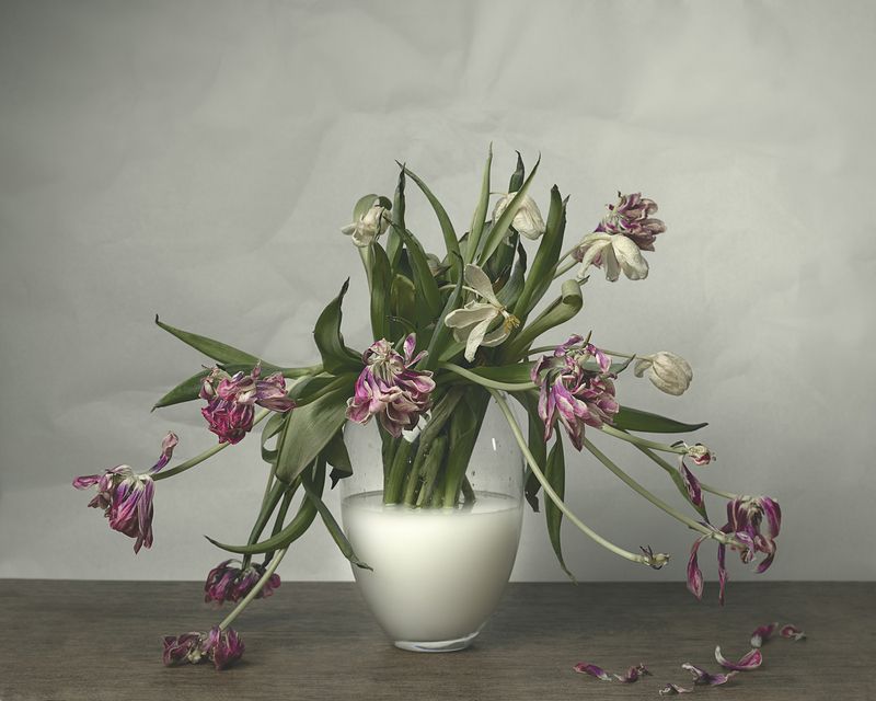 Меланхолияphoto preview