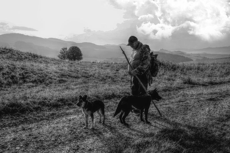 On the way to the pasture 3photo preview