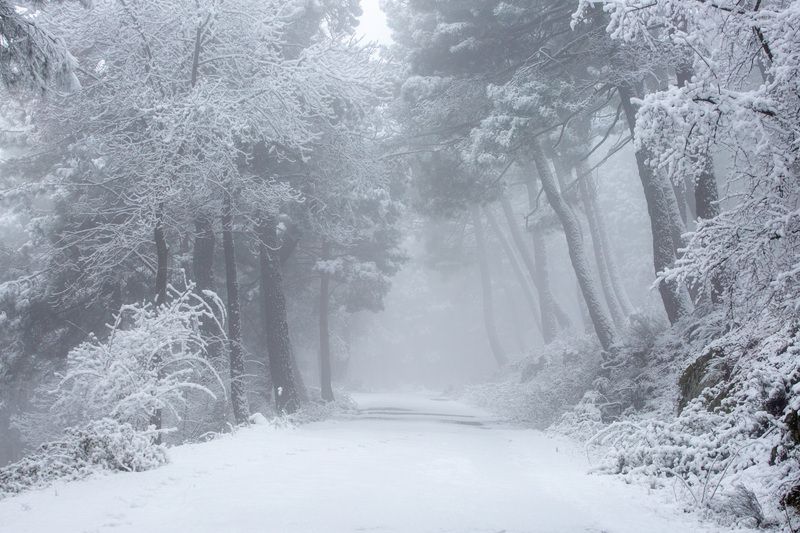 Снежный день в Эль Эскориалphoto preview