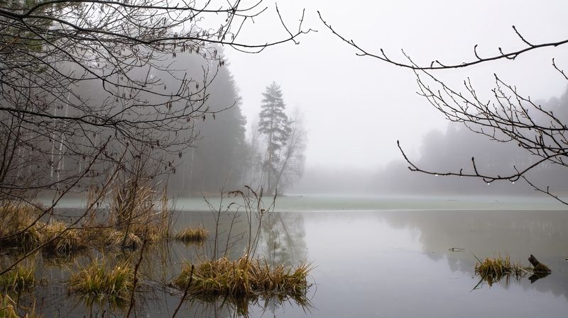 Мартовская тишинаphoto preview