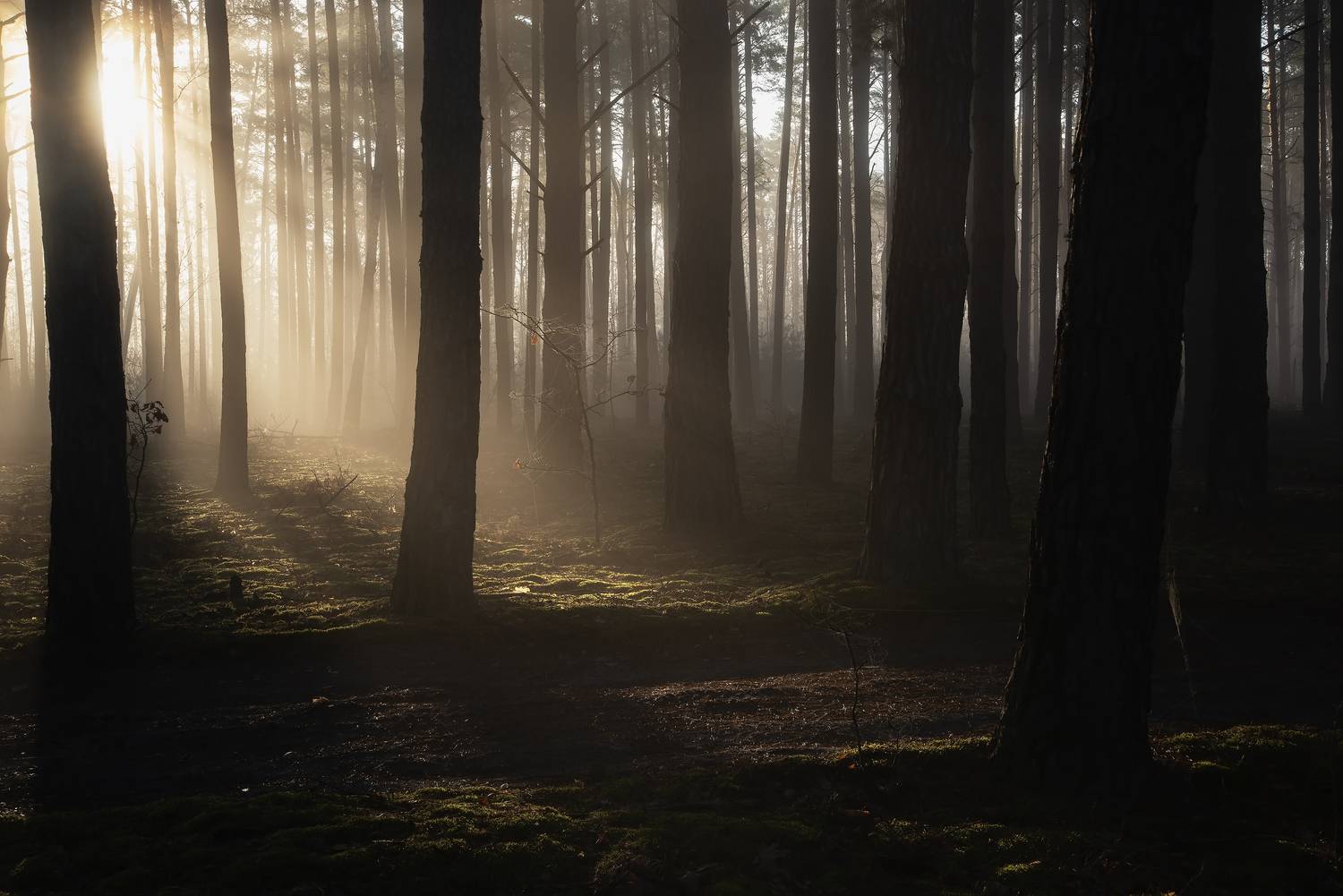 , Захаров Дмитрий