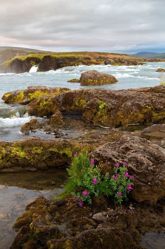 river У реки фото превью