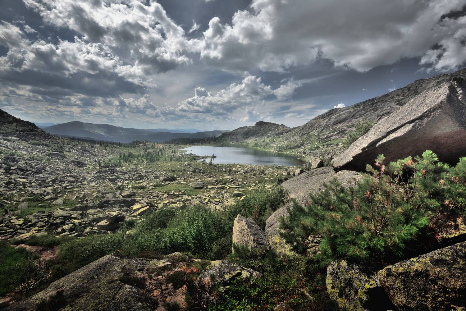 , Алексей Никонов