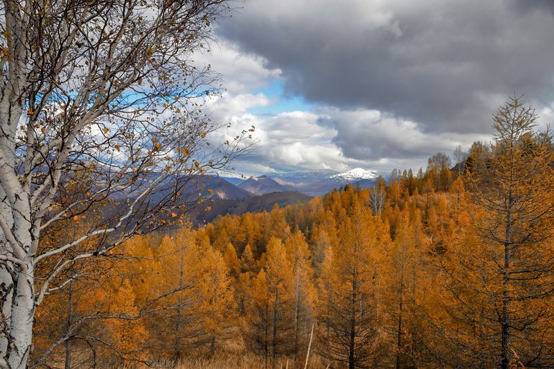 Осенний Алтайphoto preview