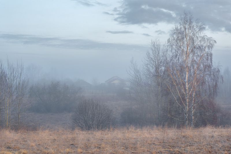 утро туман весна март бродники Акварельное утроphoto preview