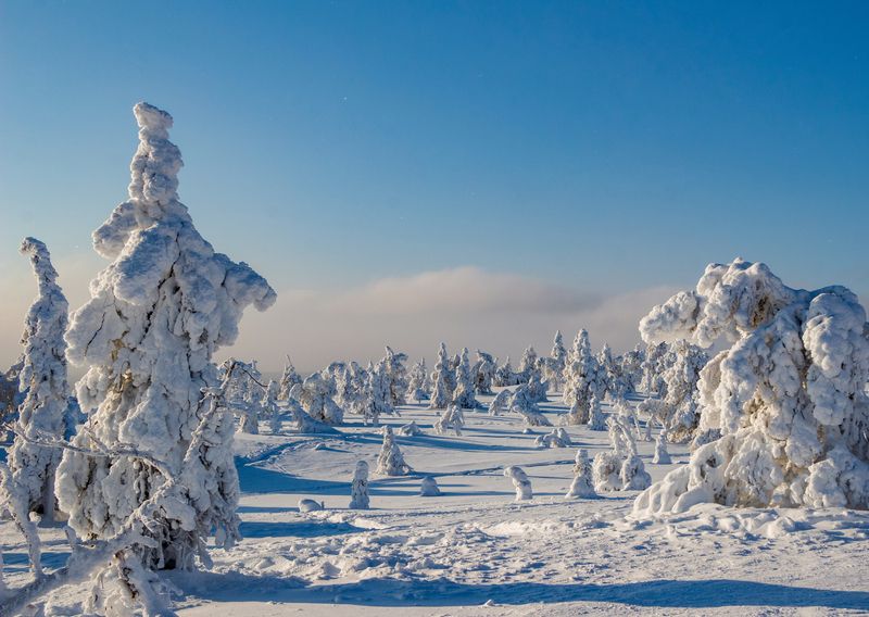 Статуи Рииситунтури 5photo preview