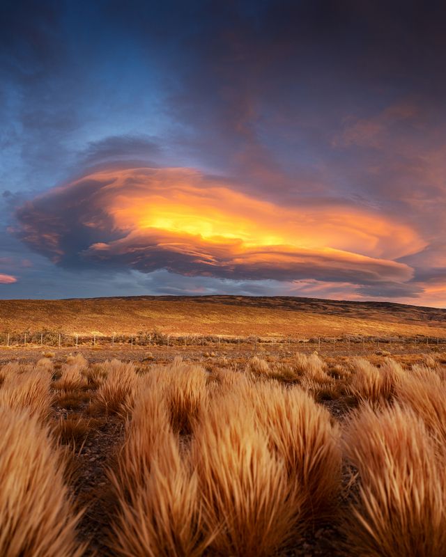 fitz roy, fitzroy, cerro torre, el chalten, chalten, patagonia, argentina, фицрой, серро-торре, эль-чалтен, аргентина, патагония Закат в пампасах фото превью