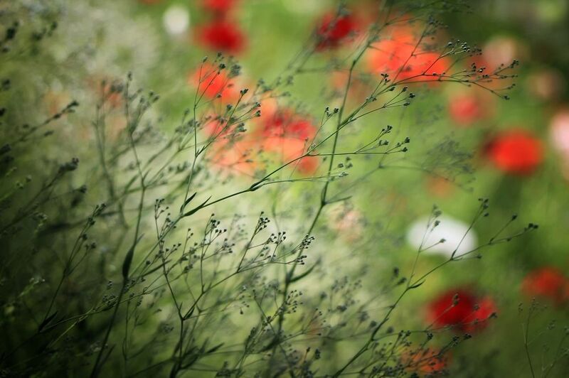 О хрупкости мироздания...photo preview