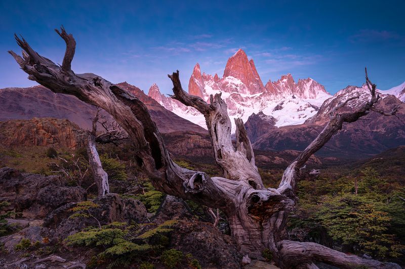 fitz roy, fitzroy, cerro torre, el chalten, chalten, patagonia, argentina, фицрой, серро-торре, эль-чалтен, аргентина, патагония Оправа для скалы Фицрой фото превью
