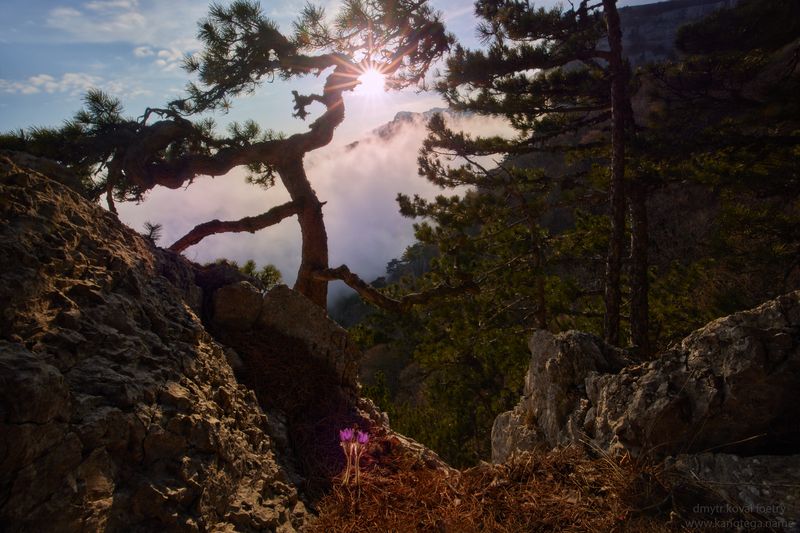 пейзажемагьё, пейзаж-как-виденье Двое у врат заката …photo preview