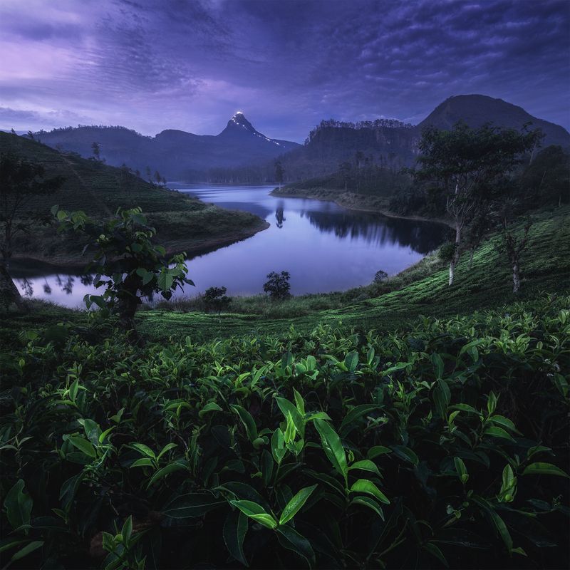 Adam\'s Peak, Sri Lanka фото превью