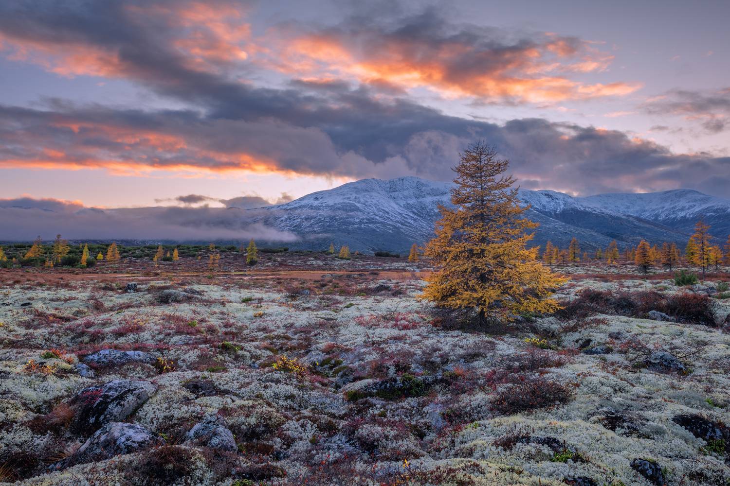 озеро, джека, лондона, Евдокимов Максим