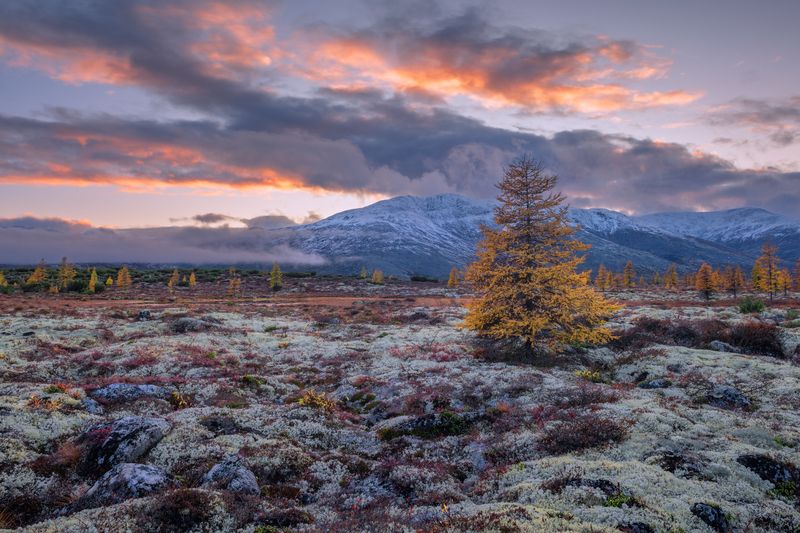 озеро, джека, лондона Всем кто ложиться спать...photo preview