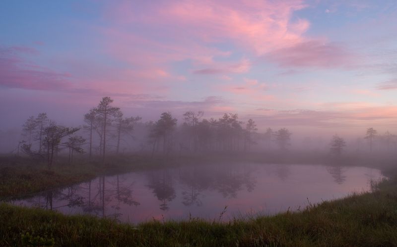 Нежностьphoto preview