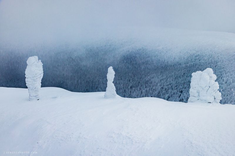 природа, аэрофото, коми, урал, маньпупунёр, северный урал, пейзаж, природа, горы, скалы, nature, aerial, komi, ural, manpupuner, northern ural, landscape, nature, mountains, rocks Стражники белого безмолвия | Guardians of the White Silence фото превью