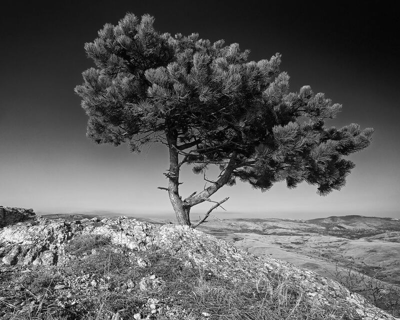 2025 фото превью