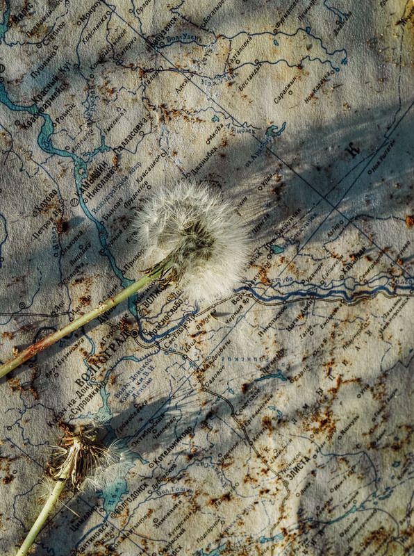 Карта фото превью