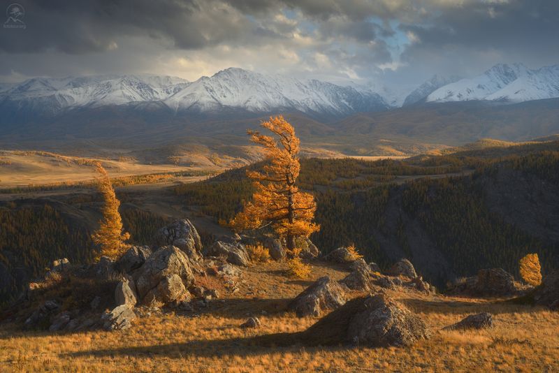 алтай, фототур по алтаю, осень, горы, горный алтай, республика алтай, курай, фототур на алтай, осенний фототур на алтай НА ВЕТРАХphoto preview