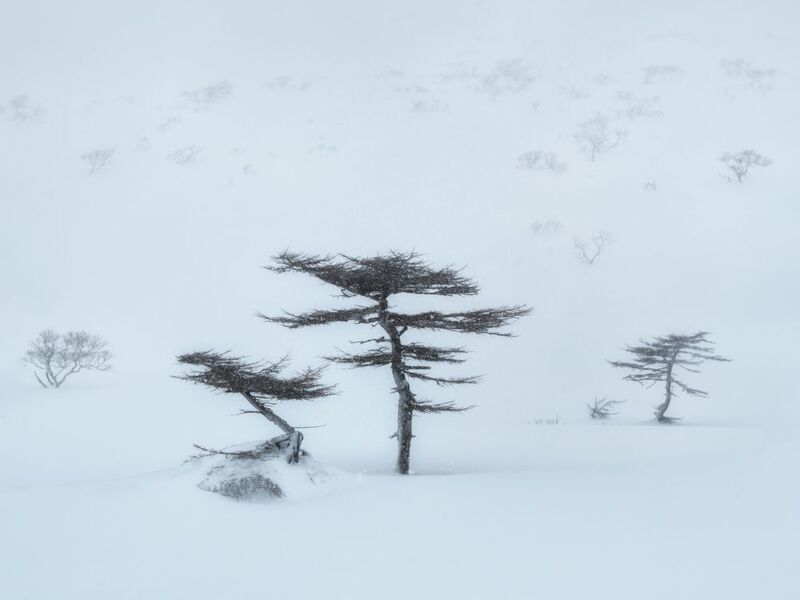 курилы Курильский минимализм.photo preview