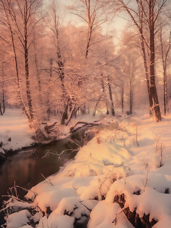 пейзаж, landscape, nature, природа, зима, winter, снег, snow, лес, forest ***photo preview