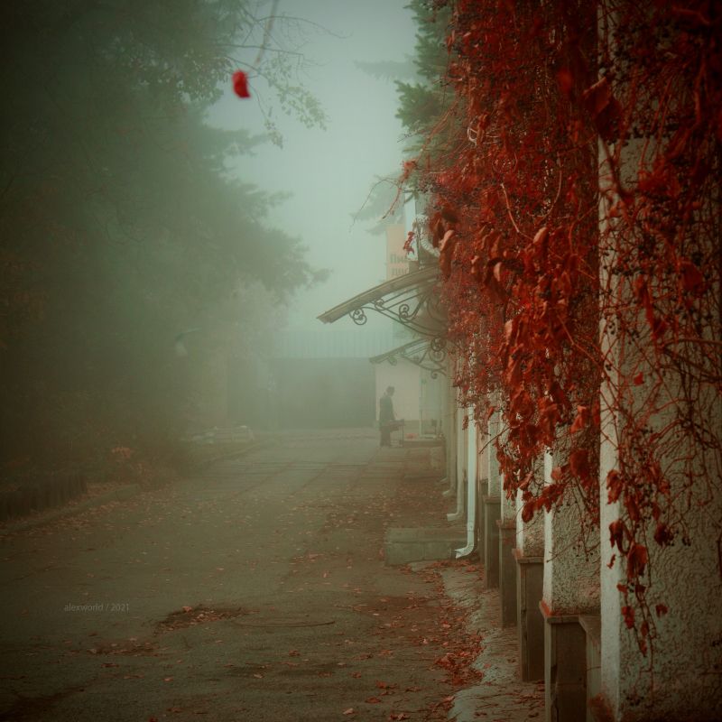 Untitledphoto preview