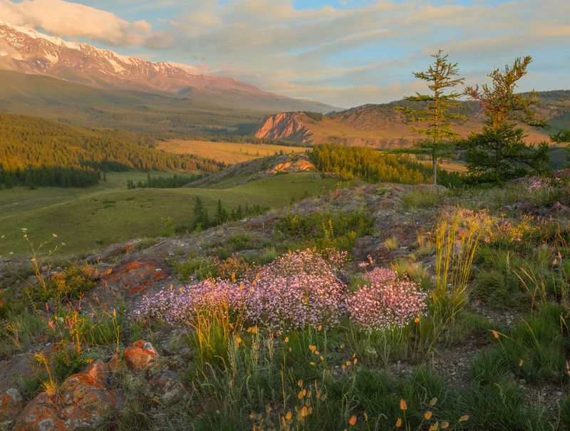 Фототуры с Владимиром Рябковым, #topnature #russpasibo #magic_shots #lovelyRussia #sunset_vision #exclusive_sky  #exclusive_shots #loves_russia2 #photoarena_nature #nature_sultans #nature_perfection #rsa_sky #rsa_sunset #photorussia #rsa_naturepics #sunse Предгорья Северо-Чуйского хребта.  фото превью