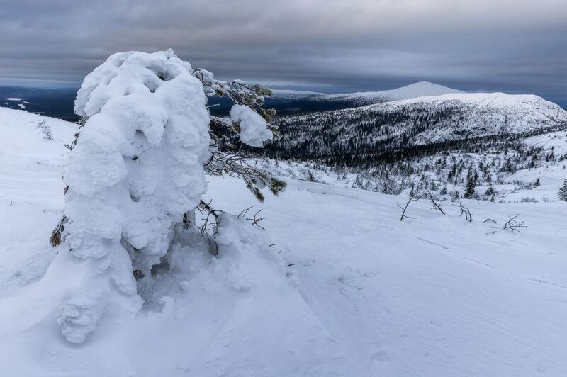 кольский, кандалакша, белое море, мурманская область Волосяная гораphoto preview