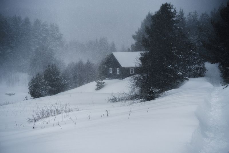 метель, снег, март, зима, кенозерье Весенняя метельphoto preview